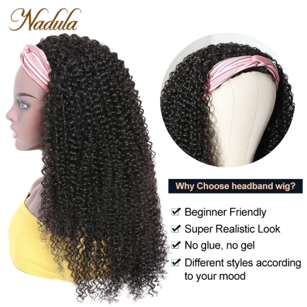 Half Wigs Kinky Curly, 12-26 Inch, Natural Human Hair Wig - Image 3